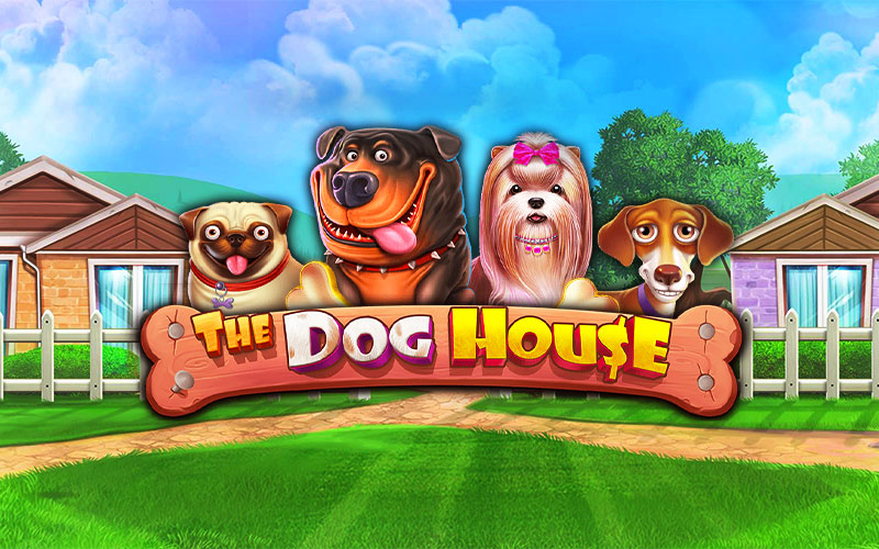 dog house slot png
